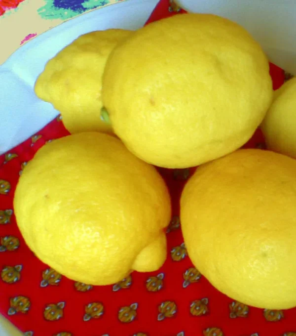 Organic-Primofiore-Sicilia014